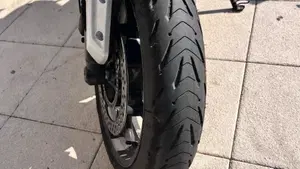 Triumph Trident 660 Triple Tribute Edition (2024)  (8)