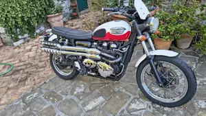 Triumph Scrambler (2006 - 17)  (3)