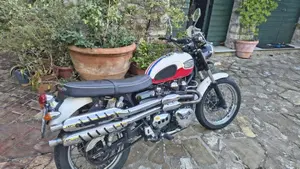 Triumph Scrambler (2006 - 17)  (9)