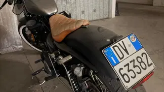 Harley-Davidson 883 Low (2008 - 12) - XL 883L usata