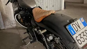 Harley-Davidson 883 Low (2008 - 12) - XL 883L  (2)