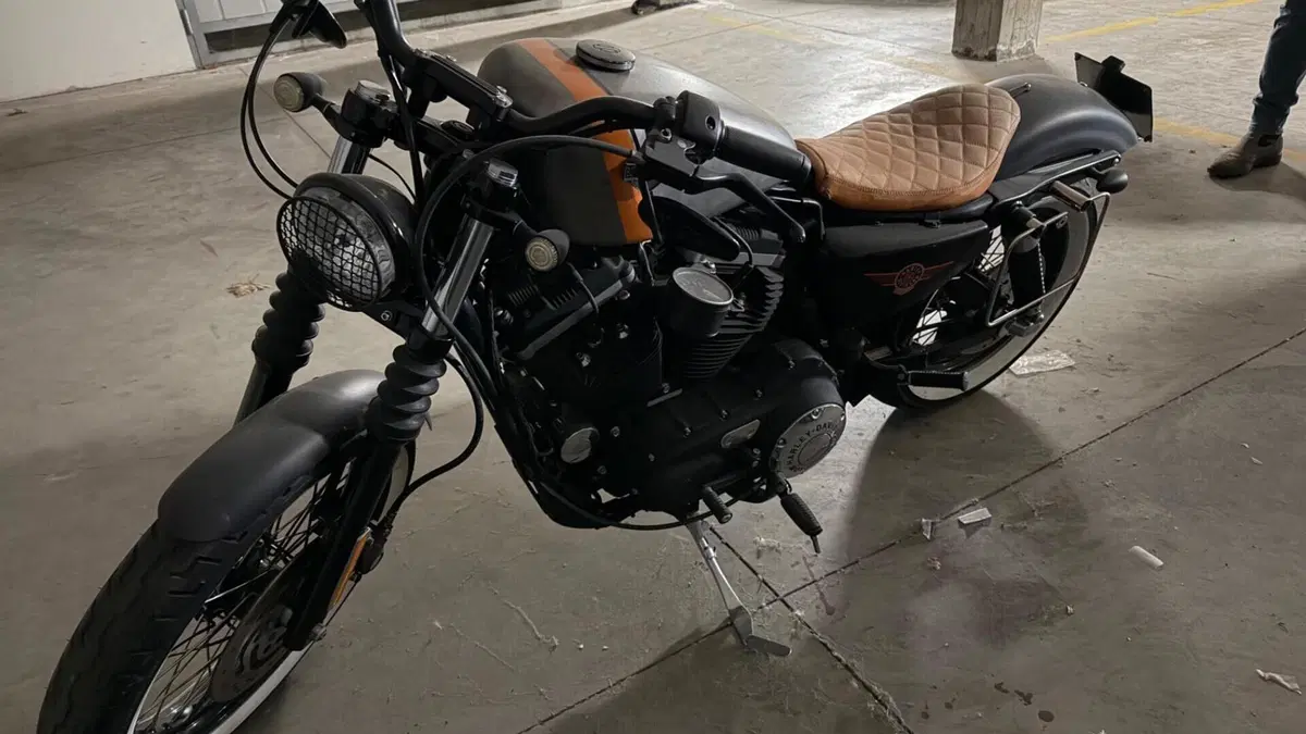 Harley-Davidson 883 Low (2008 - 12) - XL 883L  (3)