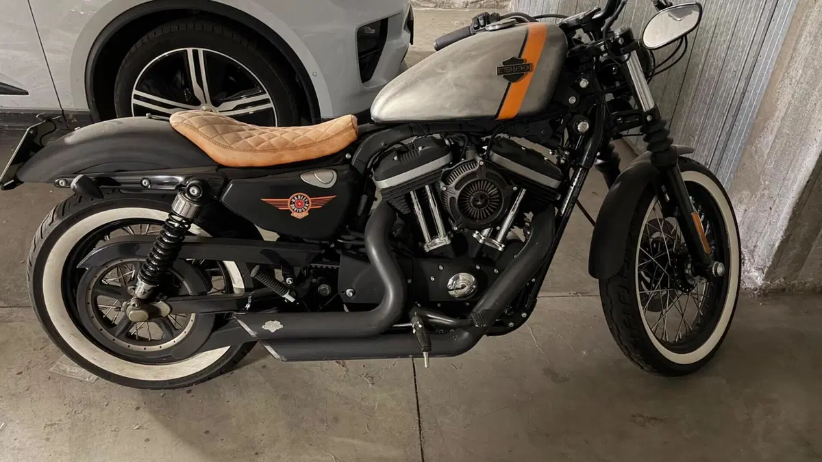 Harley-Davidson 883 Low (2008 - 12) - XL 883L  (4)