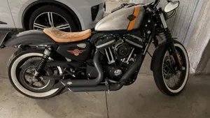 Harley-Davidson 883 Low (2008 - 12) - XL 883L  (4)