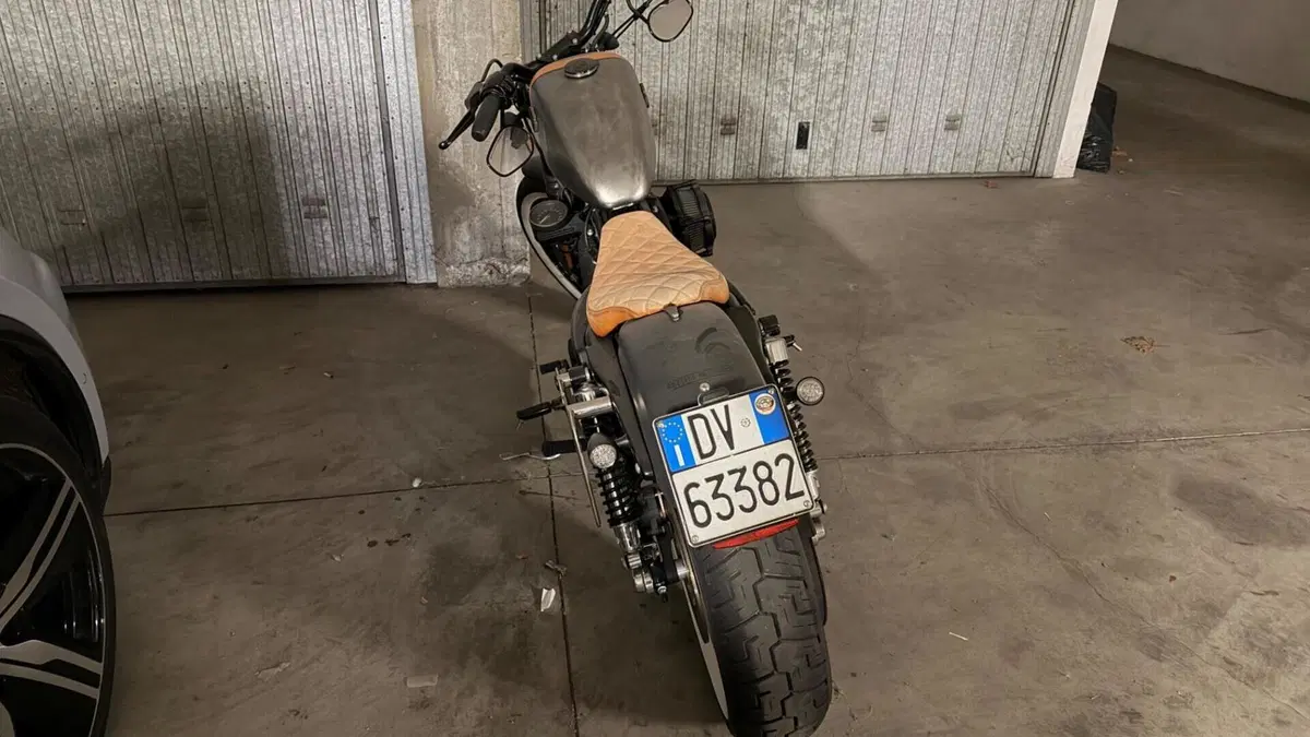 Harley-Davidson 883 Low (2008 - 12) - XL 883L  (5)