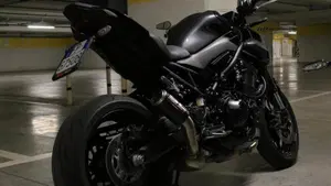 Kawasaki Z 900 (2025 - 27) 