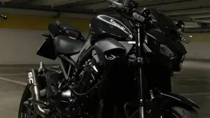 Kawasaki Z 900 (2025 - 27)  (2)
