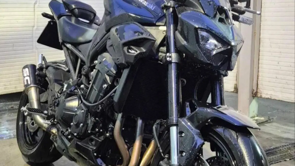 Kawasaki Z 900 (2025 - 27)  (3)
