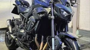 Kawasaki Z 900 (2025 - 27)  (3)