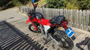 Honda CRF 300L (2021 - 24)  (2)