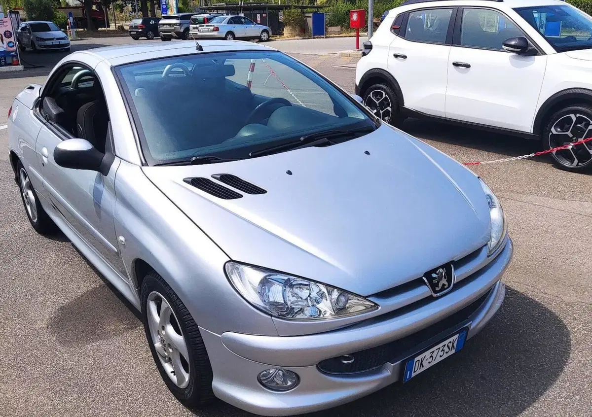 Peugeot 206 Cabrio 16V CC Enfant Terrible (5)
