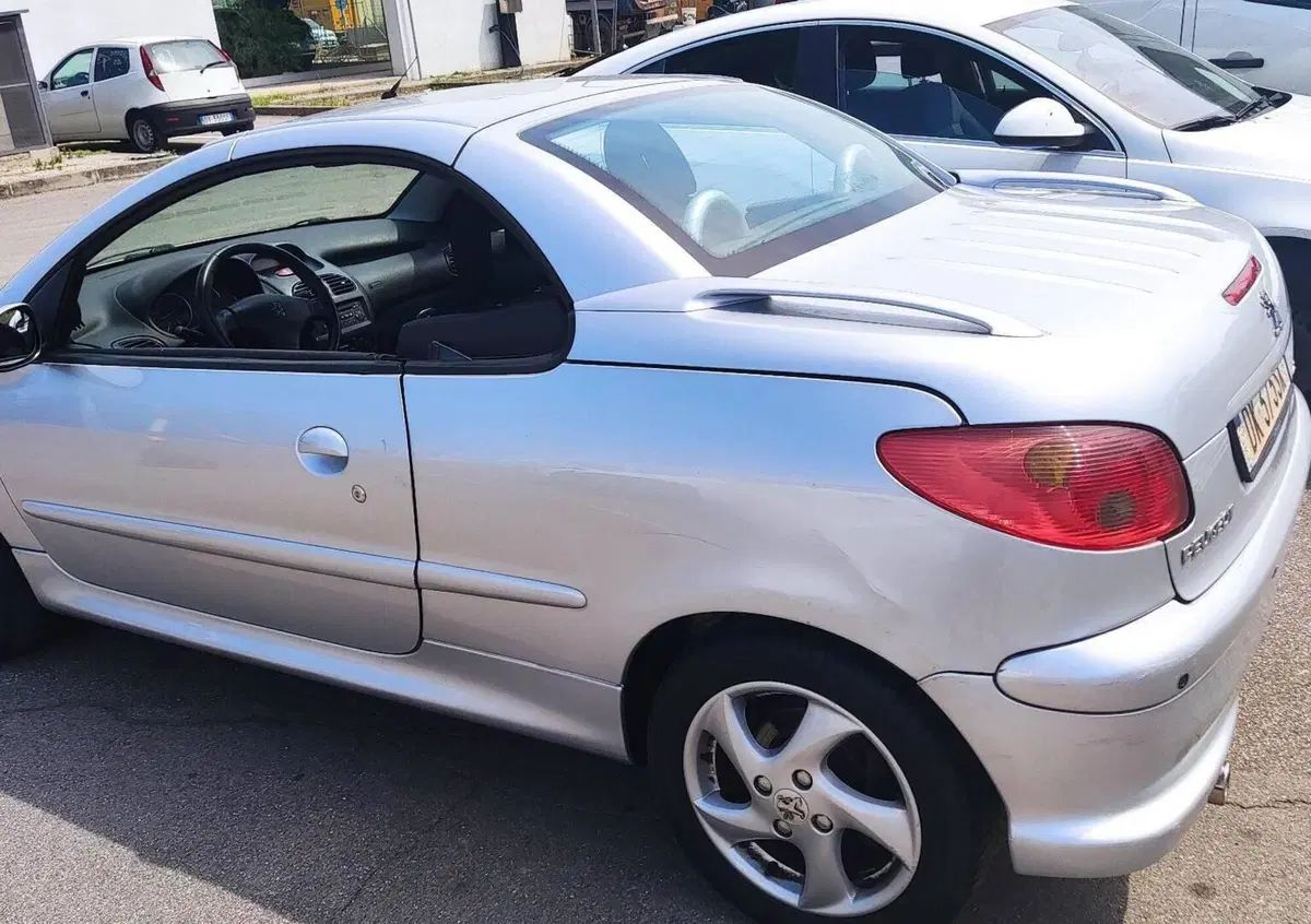 Peugeot 206 Cabrio 16V CC Enfant Terrible (6)
