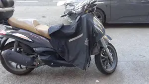 Piaggio Beverly Cruiser 250 