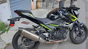 Kawasaki Z 400 Performance (2020) 