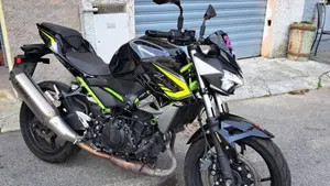 Kawasaki Z 400 Performance (2020)  (2)