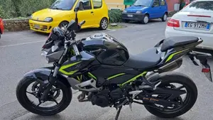 Kawasaki Z 400 Performance (2020)  (3)