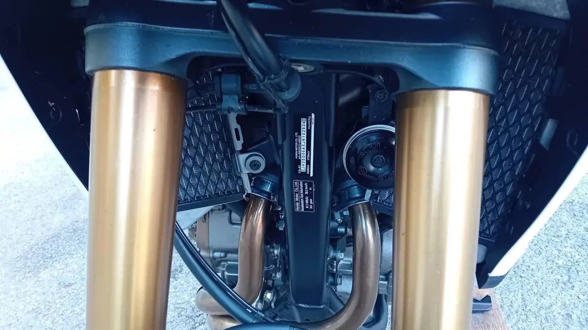 Honda Africa Twin CRF 1000L (2018 - 19)  (12)