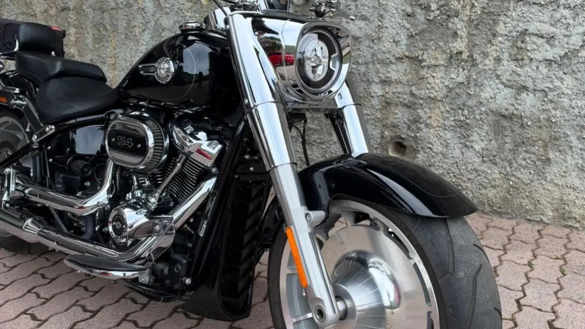Harley-Davidson Fat Boy 114 (2021 - 24)  (3)