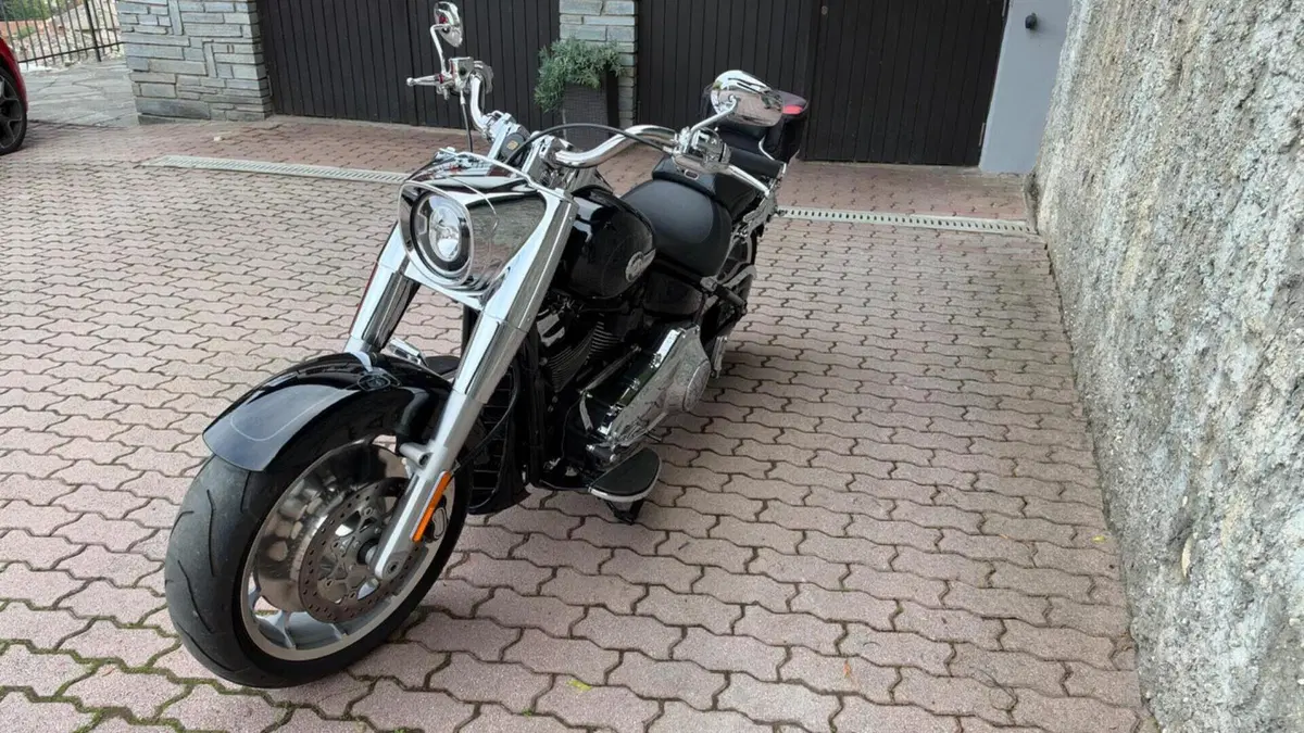 Harley-Davidson Fat Boy 114 (2021 - 24)  (5)
