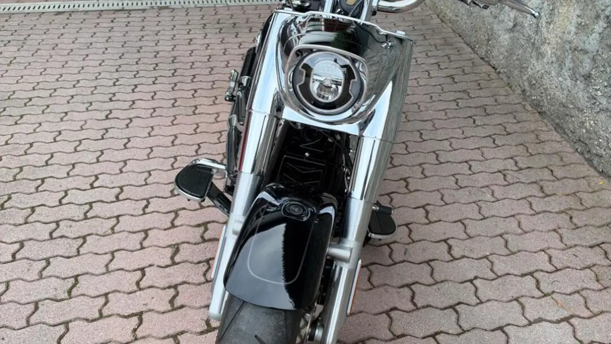 Harley-Davidson Fat Boy 114 (2021 - 24)  (6)