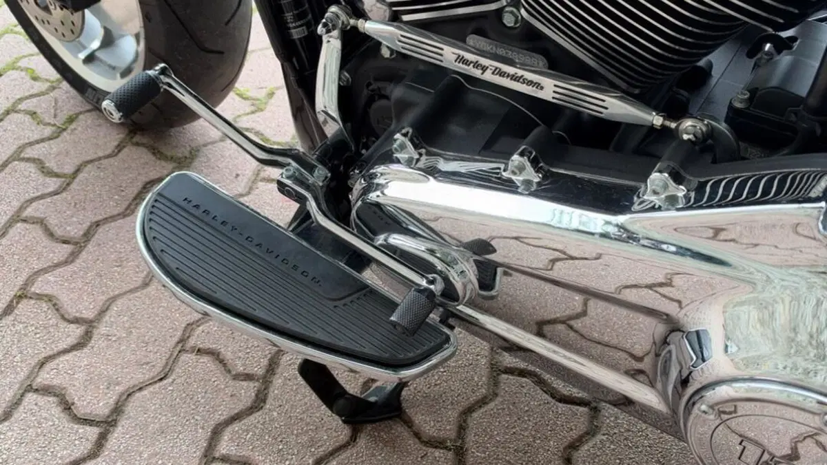 Harley-Davidson Fat Boy 114 (2021 - 24)  (8)