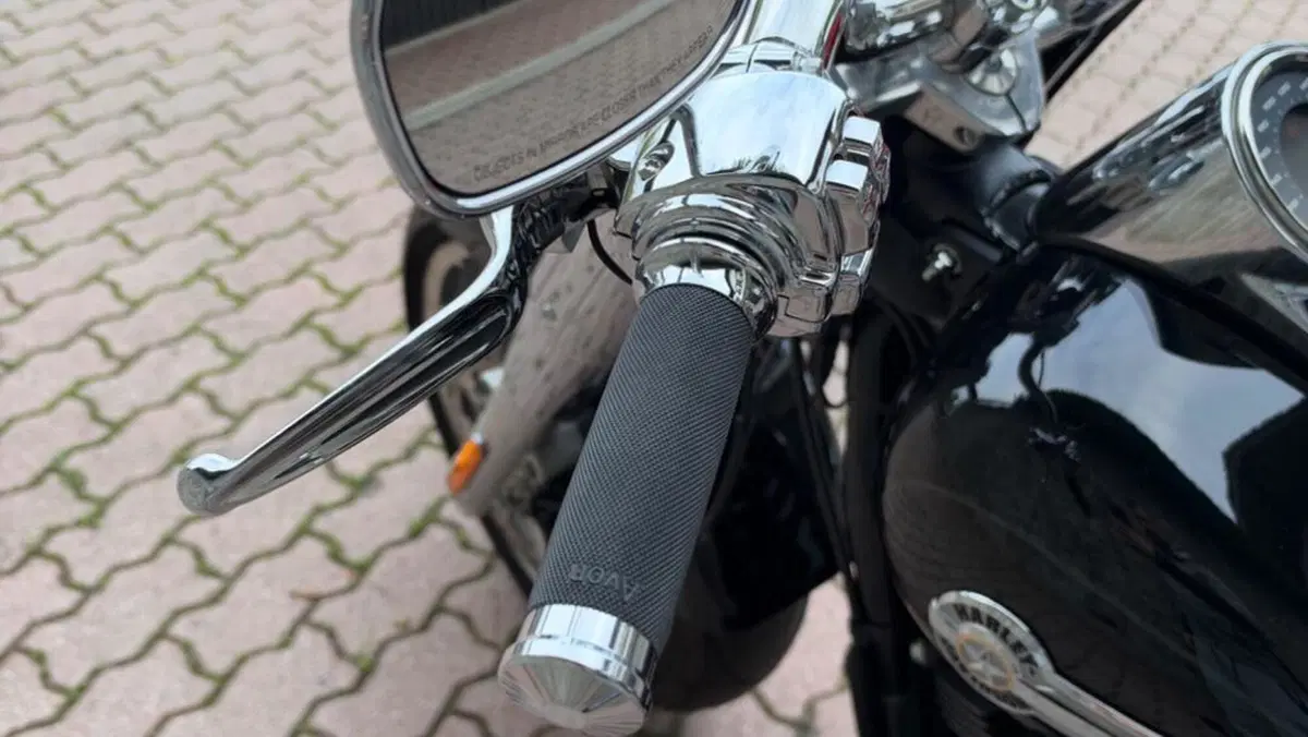 Harley-Davidson Fat Boy 114 (2021 - 24)  (10)