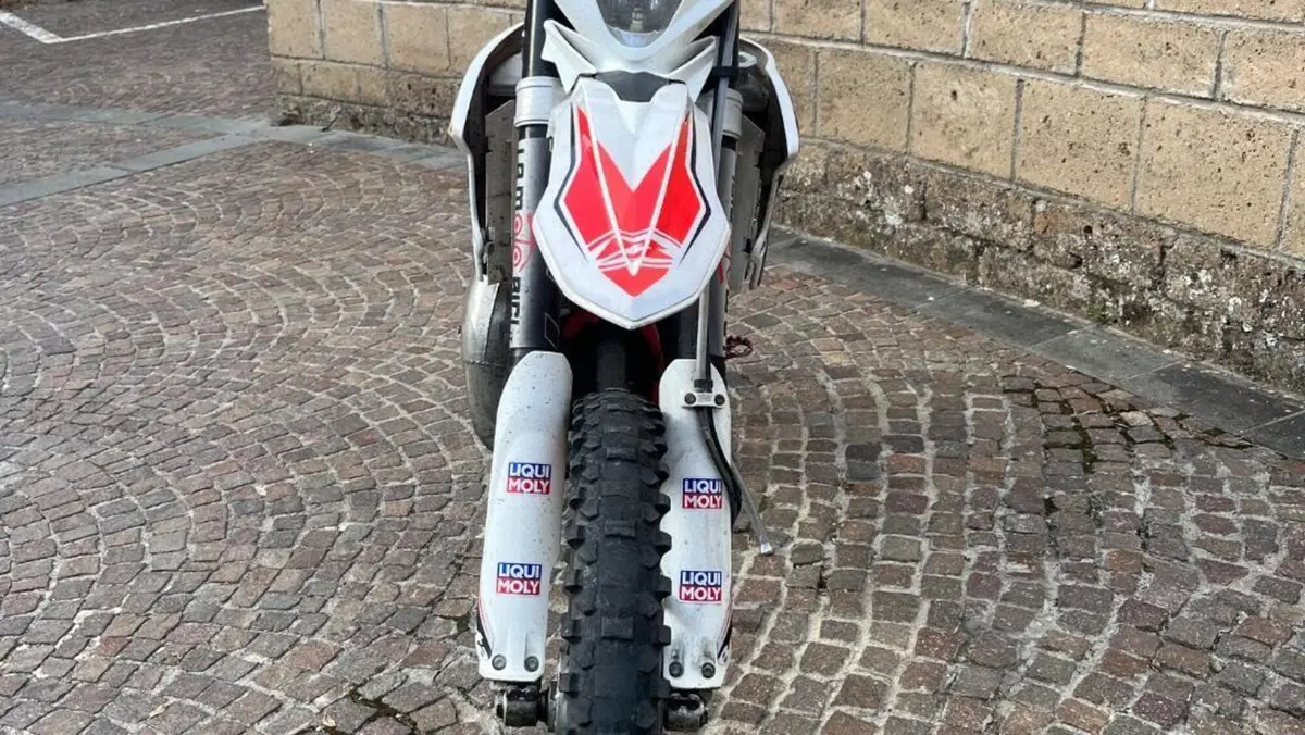 Betamotor RR 125 2T Enduro (2019)  (3)
