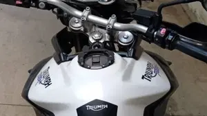 Triumph Tiger 800 XC (2011 - 12)  (3)
