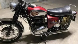 Bsa   (3)