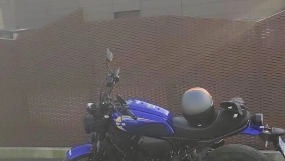 Yamaha XSR 700 (2022 - 26)  (3)