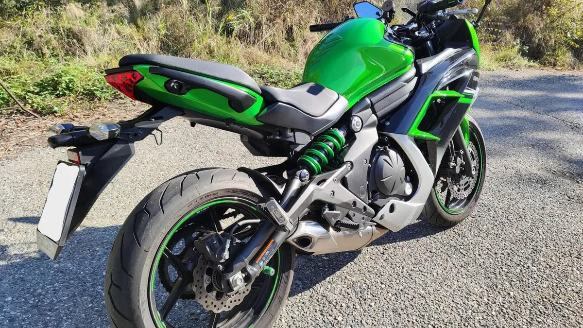 Kawasaki ER-6F ABS (2012 - 16)  (7)