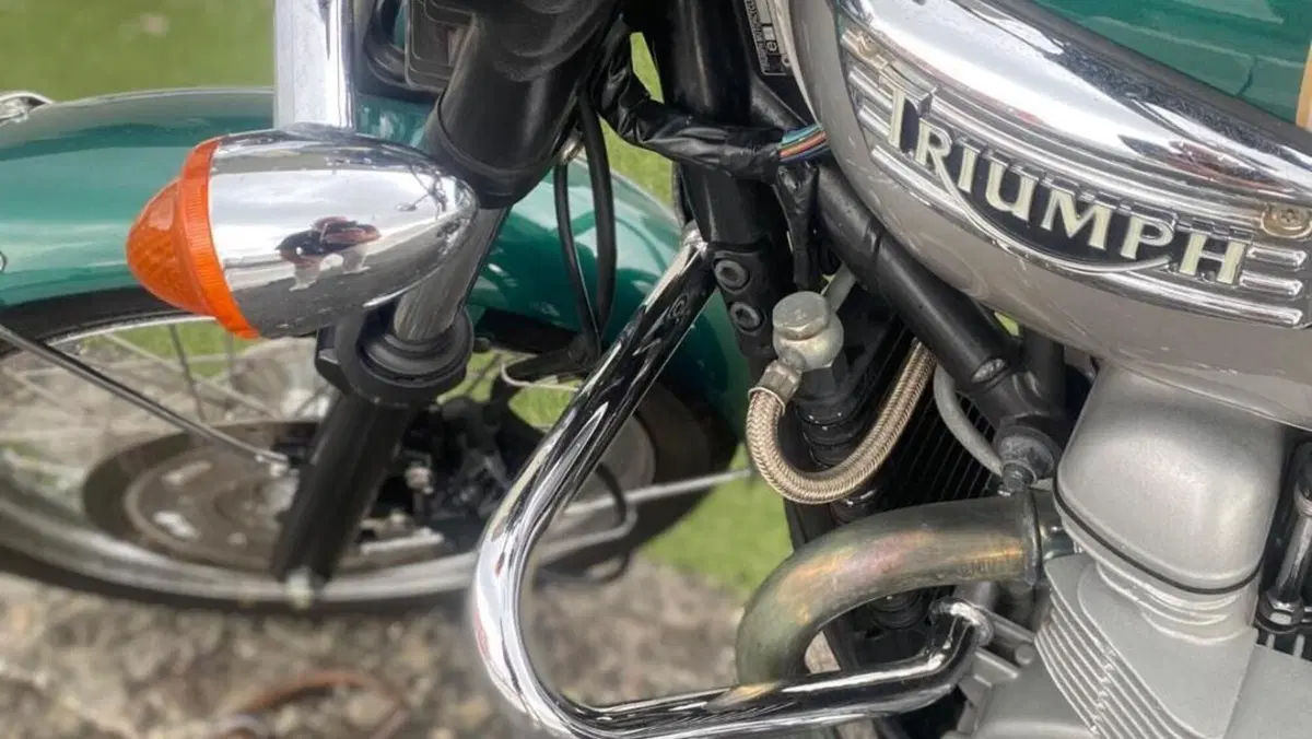 Triumph   (3)