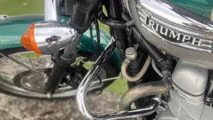 Triumph   (3)