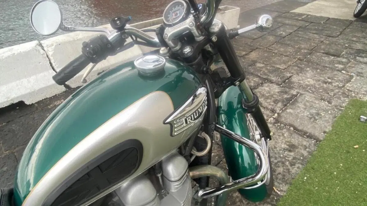 Triumph   (4)