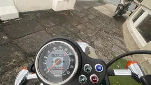 Triumph   (7)