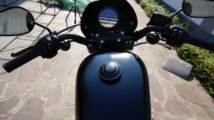Harley-Davidson 883 Iron (2014 - 16) - XL 883N  (12)
