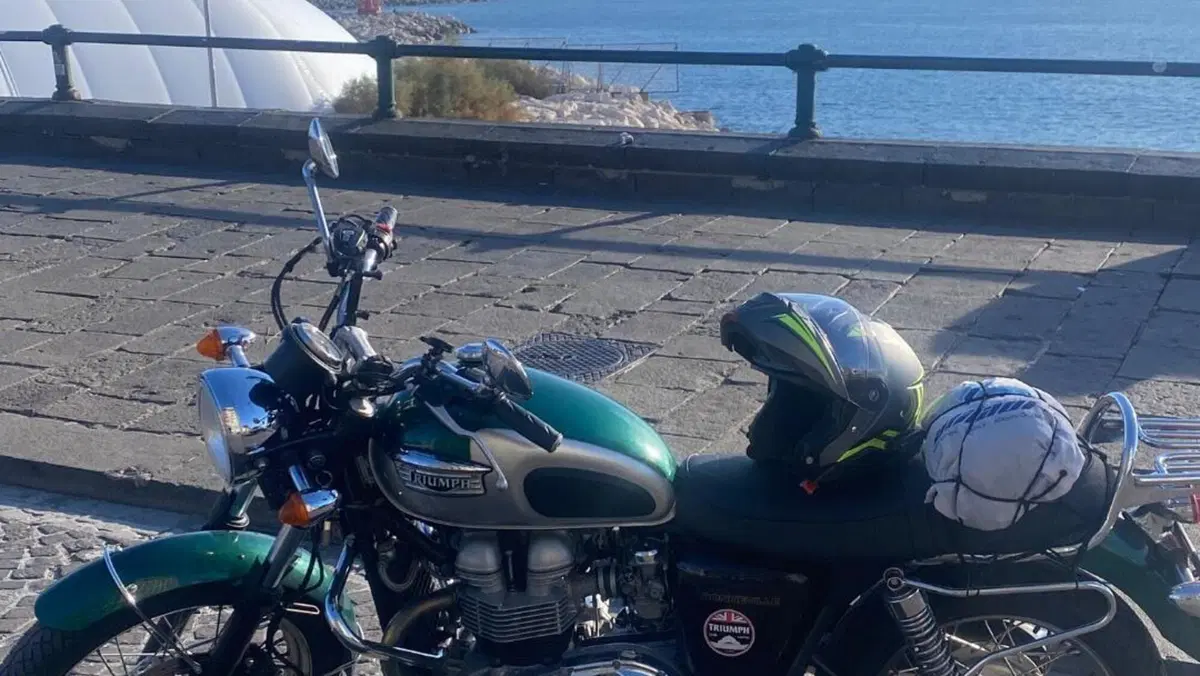 Triumph   (11)