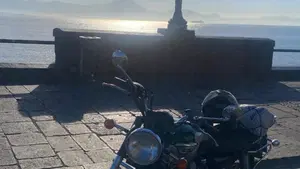 Triumph   (13)