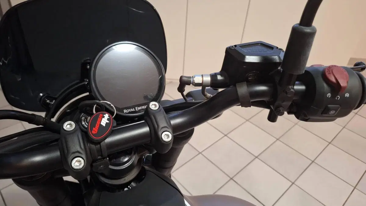 Royal Enfield Guerrilla 450 (2024 - 26)  (9)