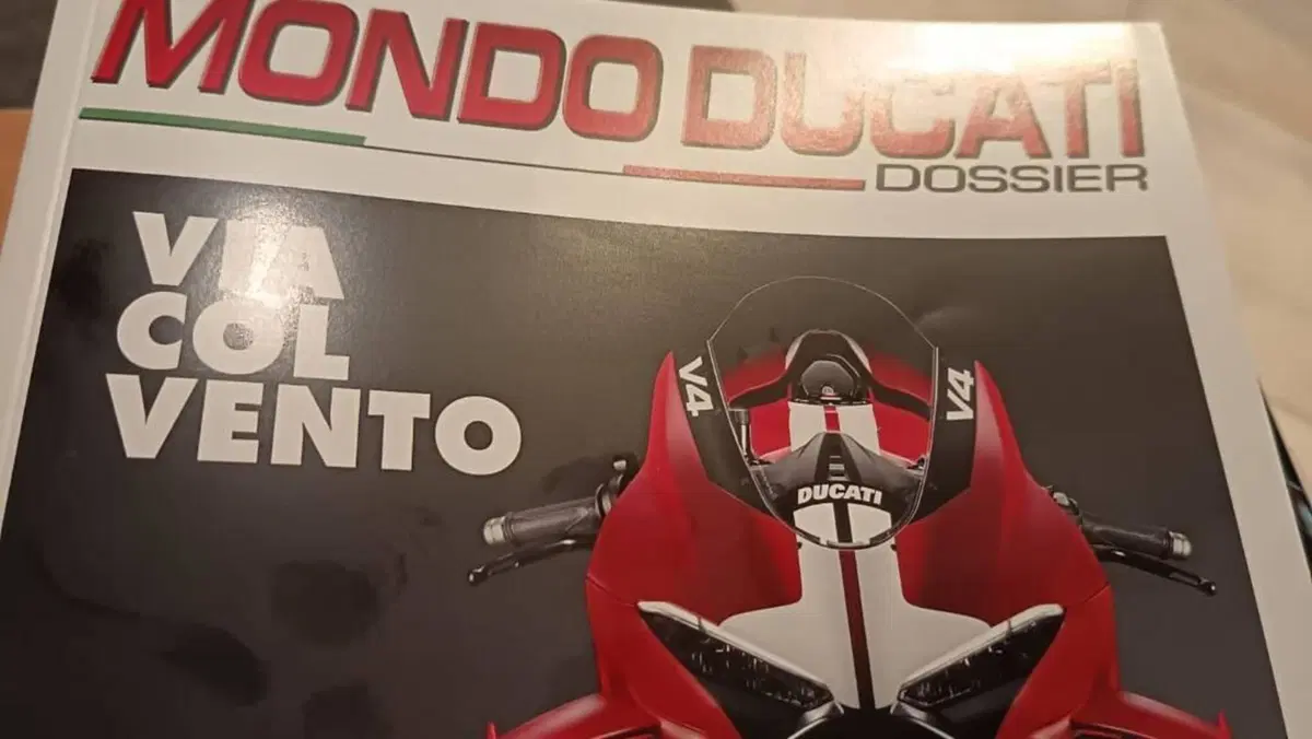 Ducati Scrambler 800 Icon (2015 - 16)  (4)