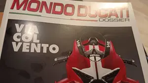 Ducati Scrambler 800 Icon (2015 - 16)  (4)