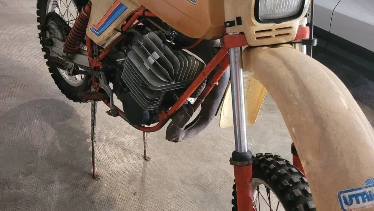 KTM   (8)