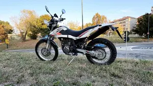 Betamotor Alp 4.0 (2008 - 17) 