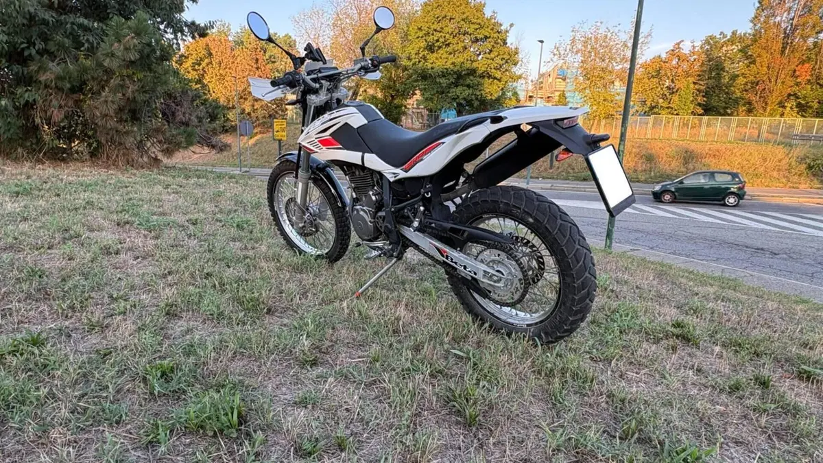 Betamotor Alp 4.0 (2008 - 17)  (2)