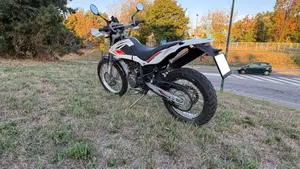 Betamotor Alp 4.0 (2008 - 17)  (2)