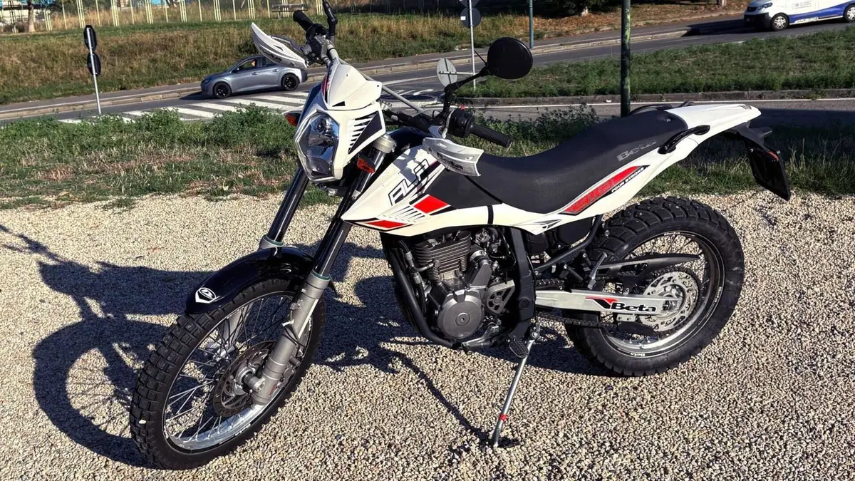 Betamotor Alp 4.0 (2008 - 17)  (3)