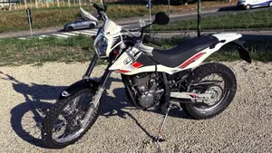 Betamotor Alp 4.0 (2008 - 17)  (3)