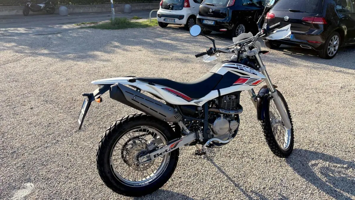 Betamotor Alp 4.0 (2008 - 17)  (4)