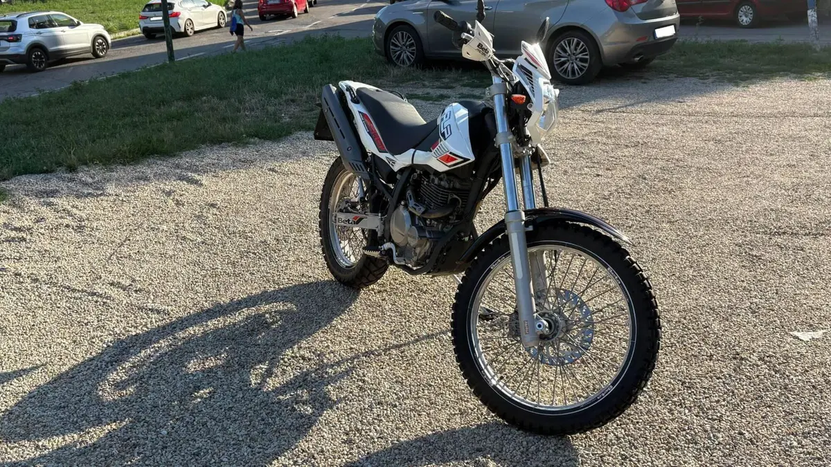 Betamotor Alp 4.0 (2008 - 17)  (5)