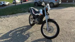 Betamotor Alp 4.0 (2008 - 17)  (5)